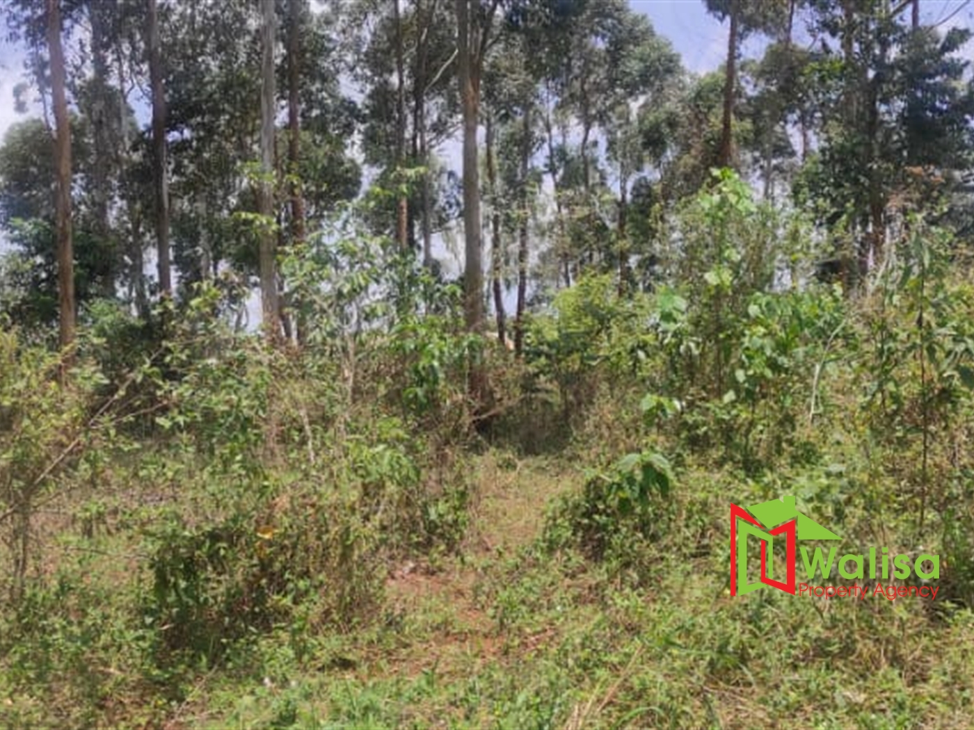 Multipurpose Land for sale in Bukasa Wakiso