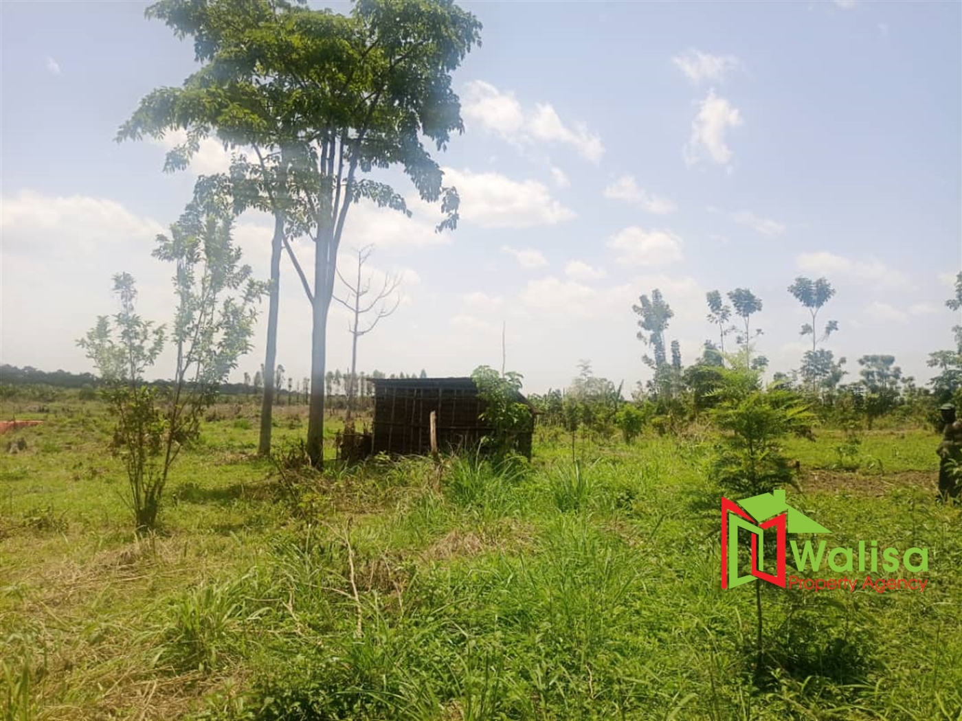 Agricultural Land for sale in Kapeeka Nakaseke