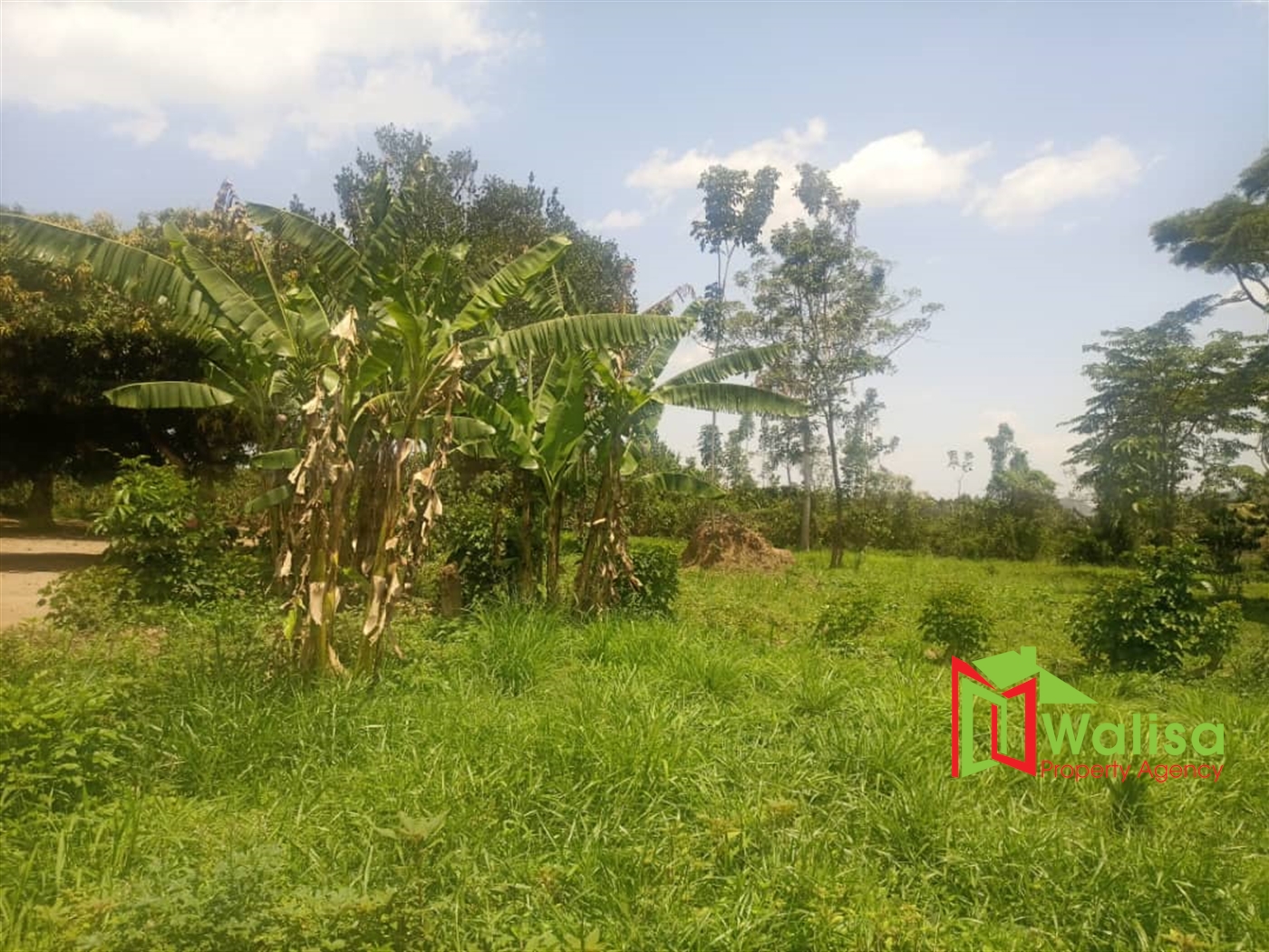 Agricultural Land for sale in Kapeeka Nakaseke