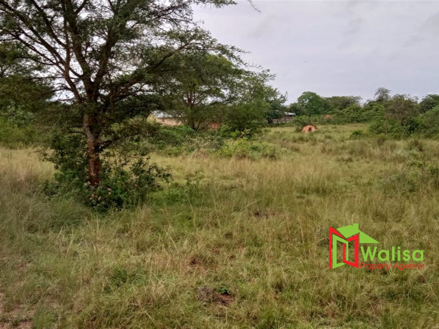 Agricultural Land for sale in Masaka Masaka