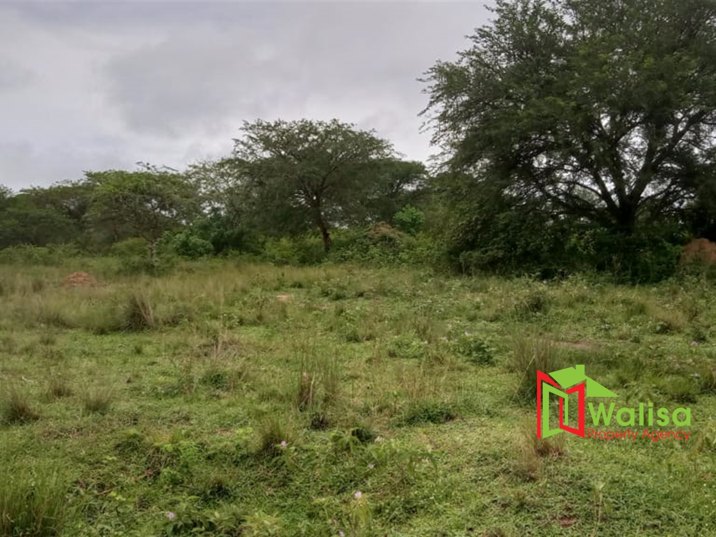 Agricultural Land for sale in Masaka Masaka