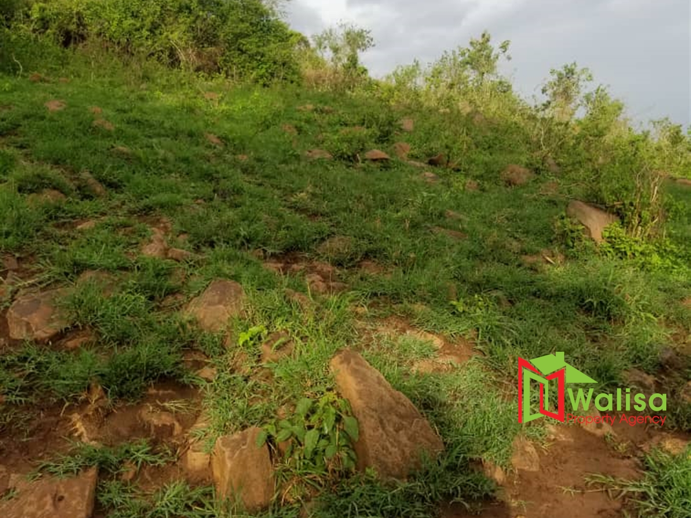 Agricultural Land for sale in Mikigezi Mubende