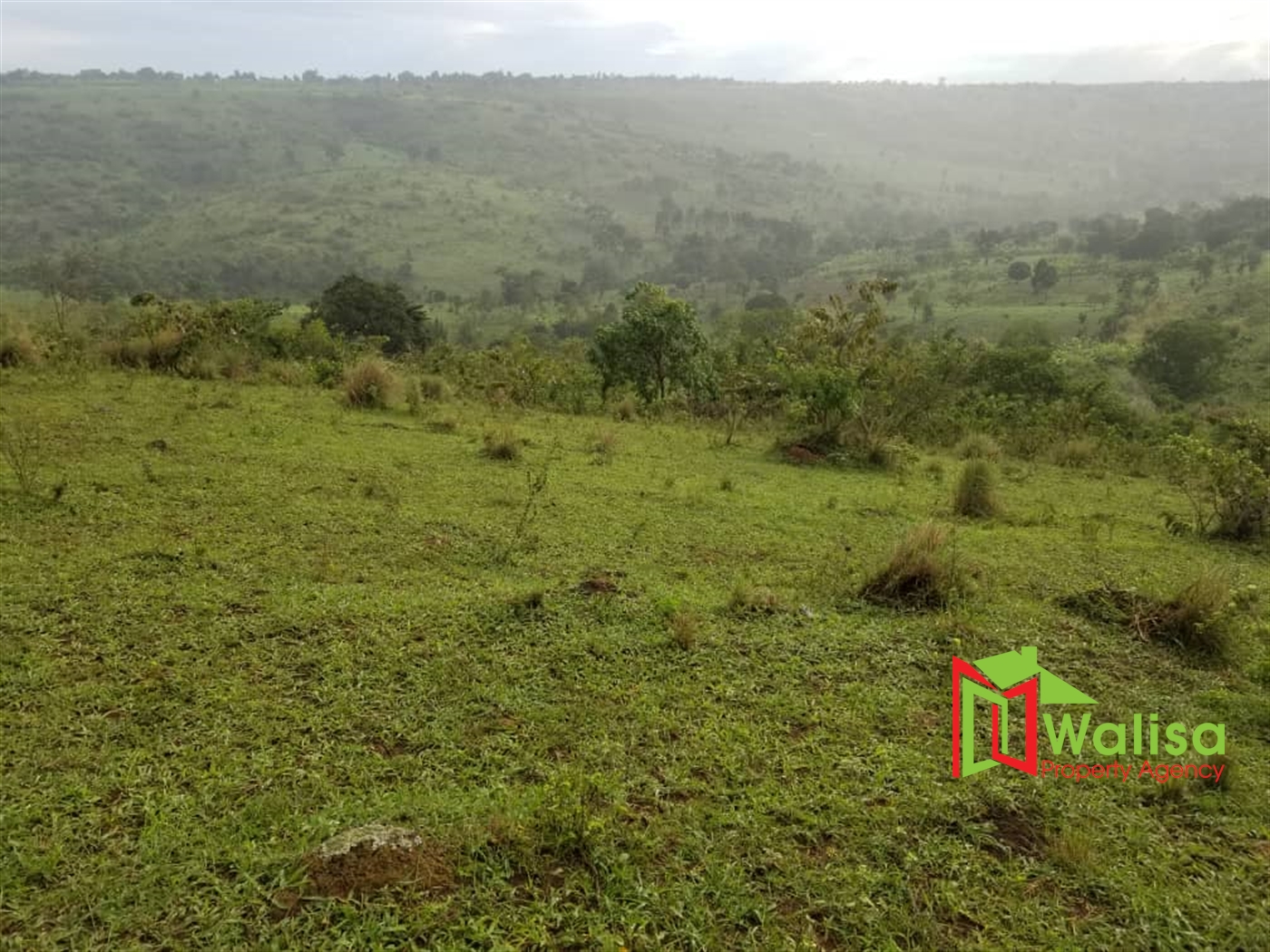 Agricultural Land for sale in Mikigezi Mubende