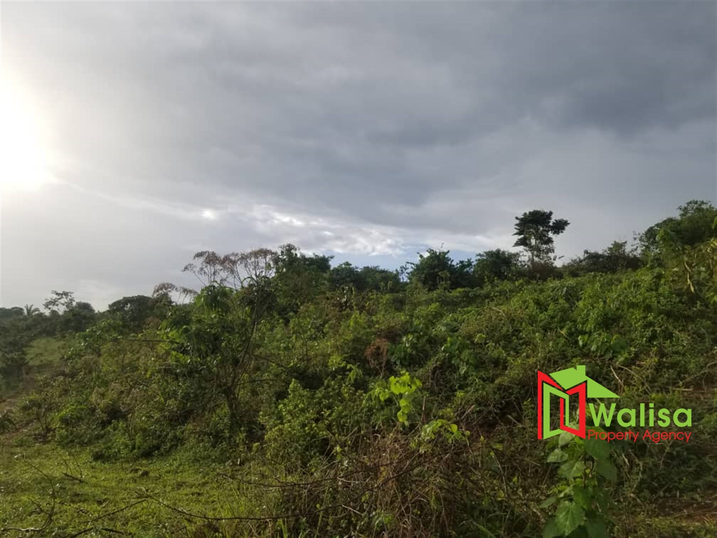 Agricultural Land for sale in Mikigezi Mubende