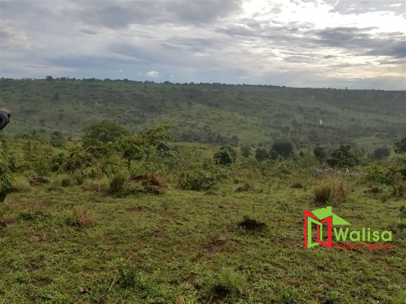 Agricultural Land for sale in Mikigezi Mubende