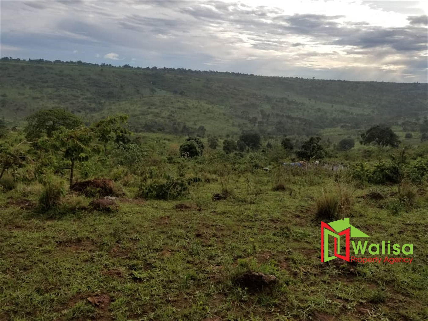 Agricultural Land for sale in Mikigezi Mubende