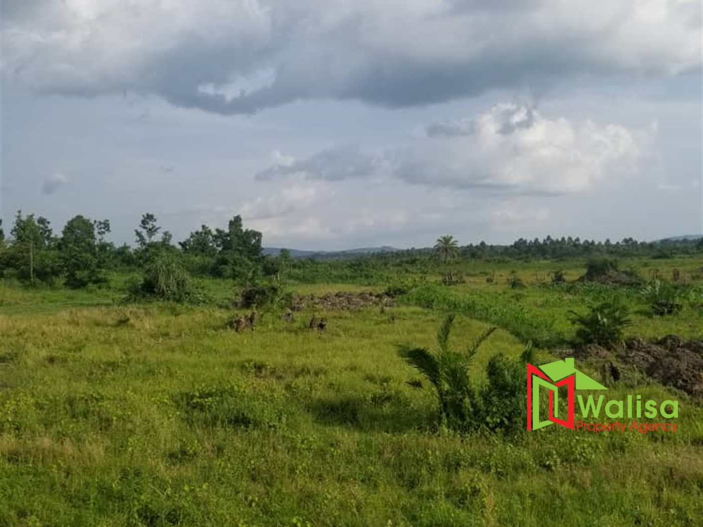 Agricultural Land for sale in Bujjabe Nakaseke