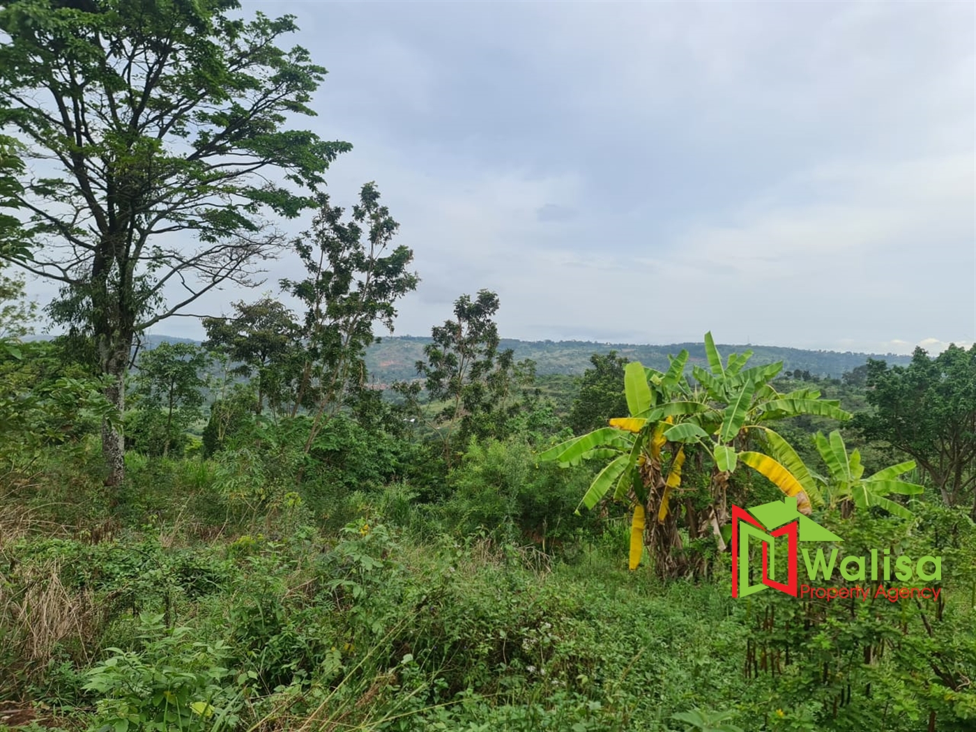Commercial Land for sale in Naijja Buyikwe