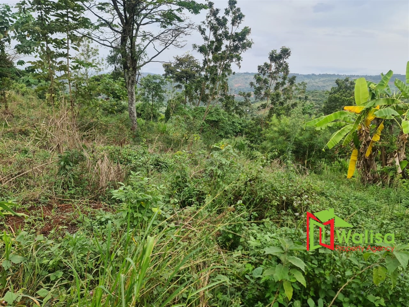 Commercial Land for sale in Naijja Buyikwe