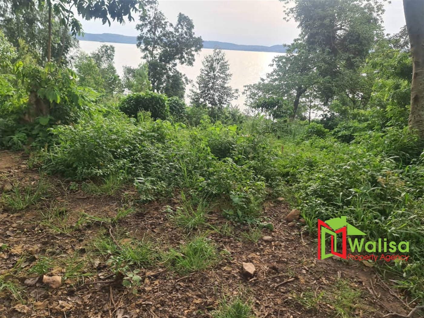 Agricultural Land for sale in Naijja Buyikwe