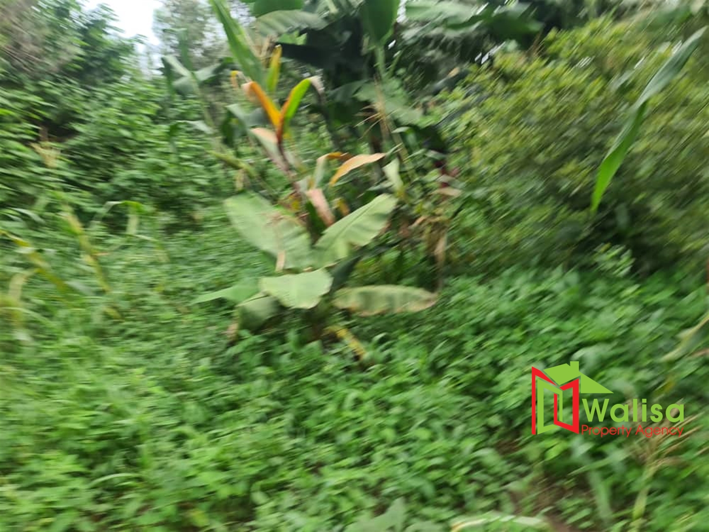 Agricultural Land for sale in Naijja Buyikwe