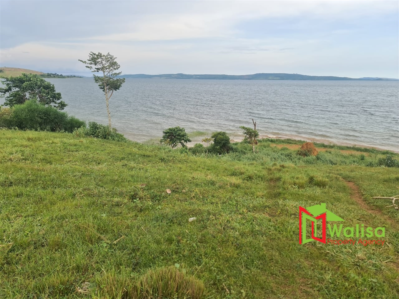 Commercial Land for sale in Kyiyindi Buyikwe