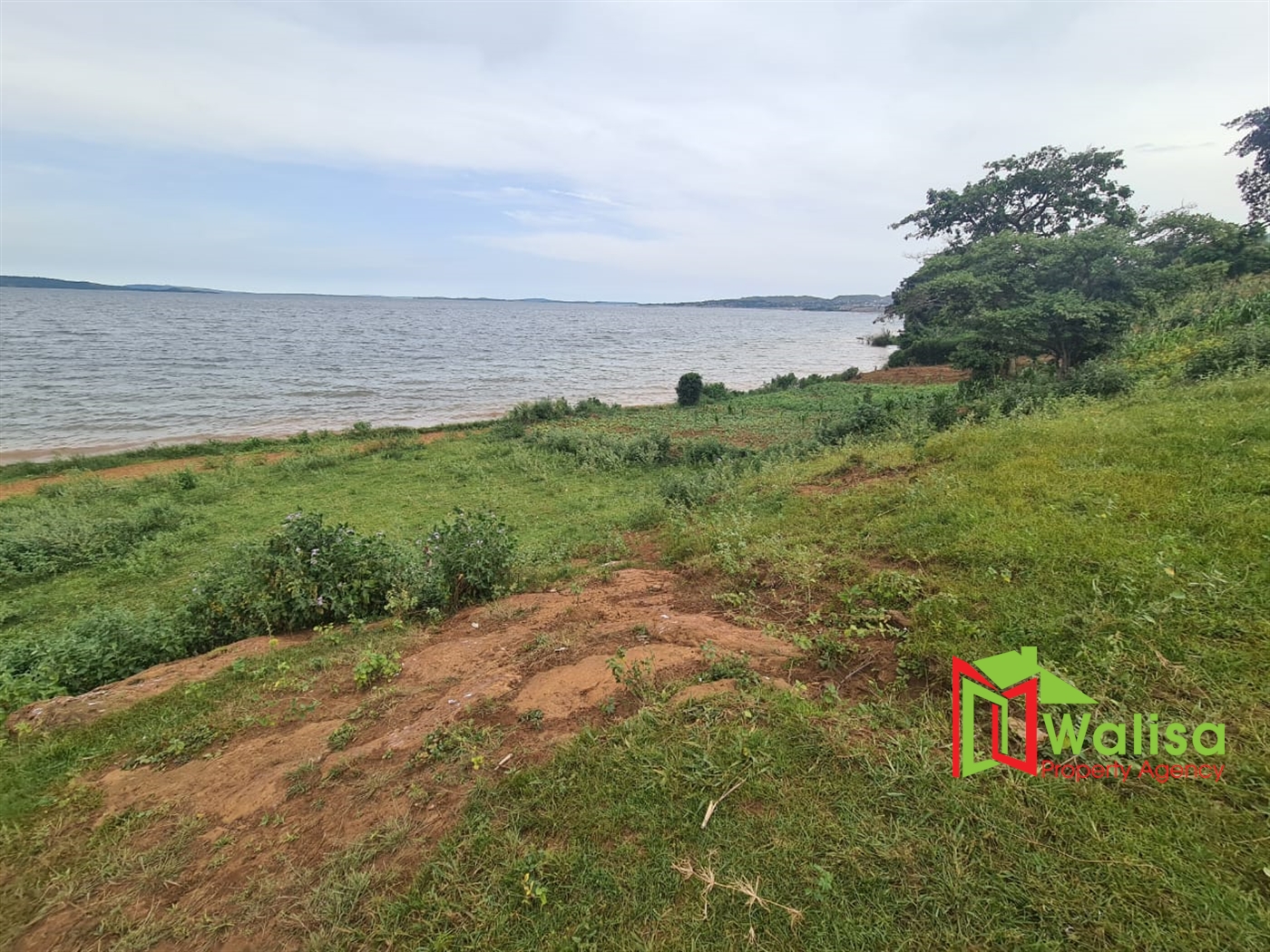 Commercial Land for sale in Kyiyindi Buyikwe