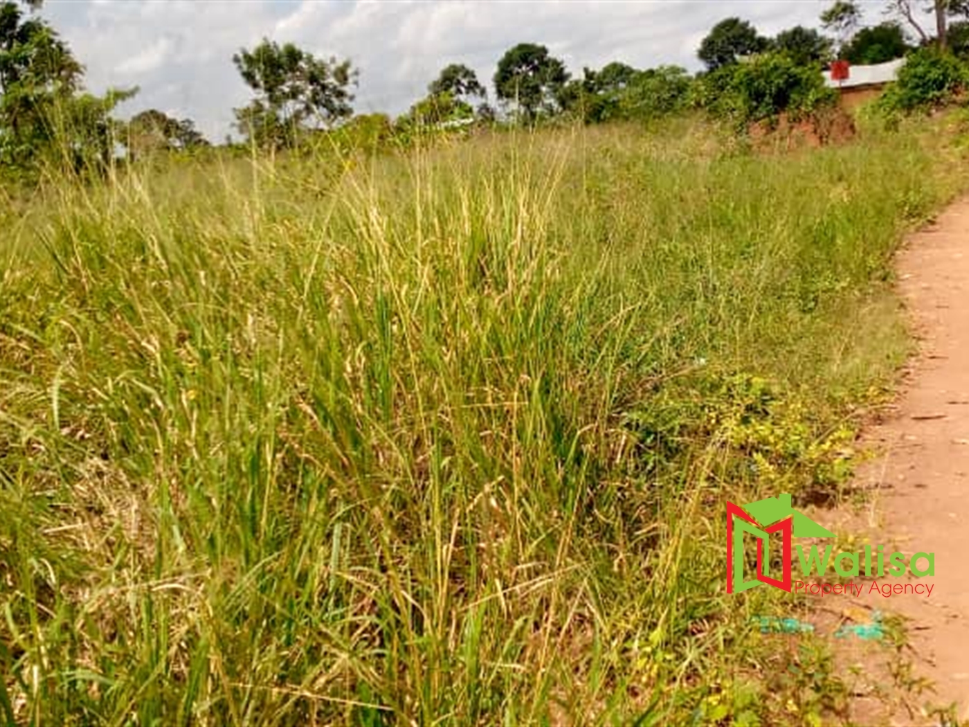 Agricultural Land for sale in Luwube Luweero