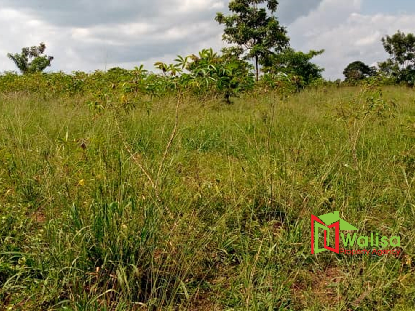 Agricultural Land for sale in Luwube Luweero