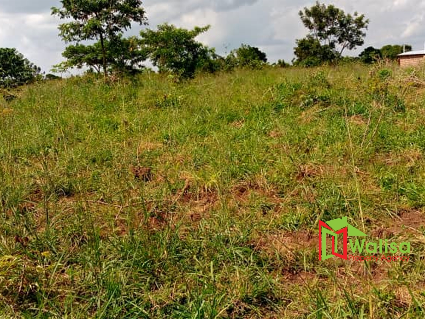 Agricultural Land for sale in Luwube Luweero