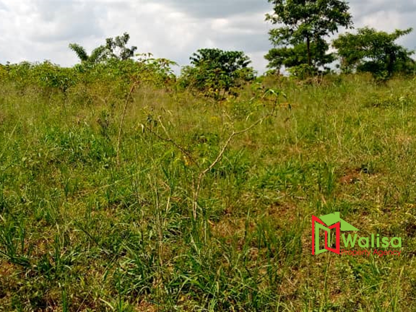 Agricultural Land for sale in Luwube Luweero