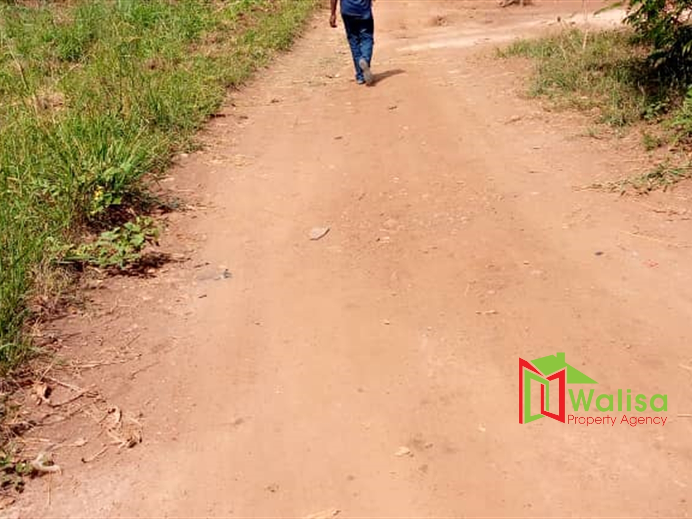 Agricultural Land for sale in Luwube Luweero