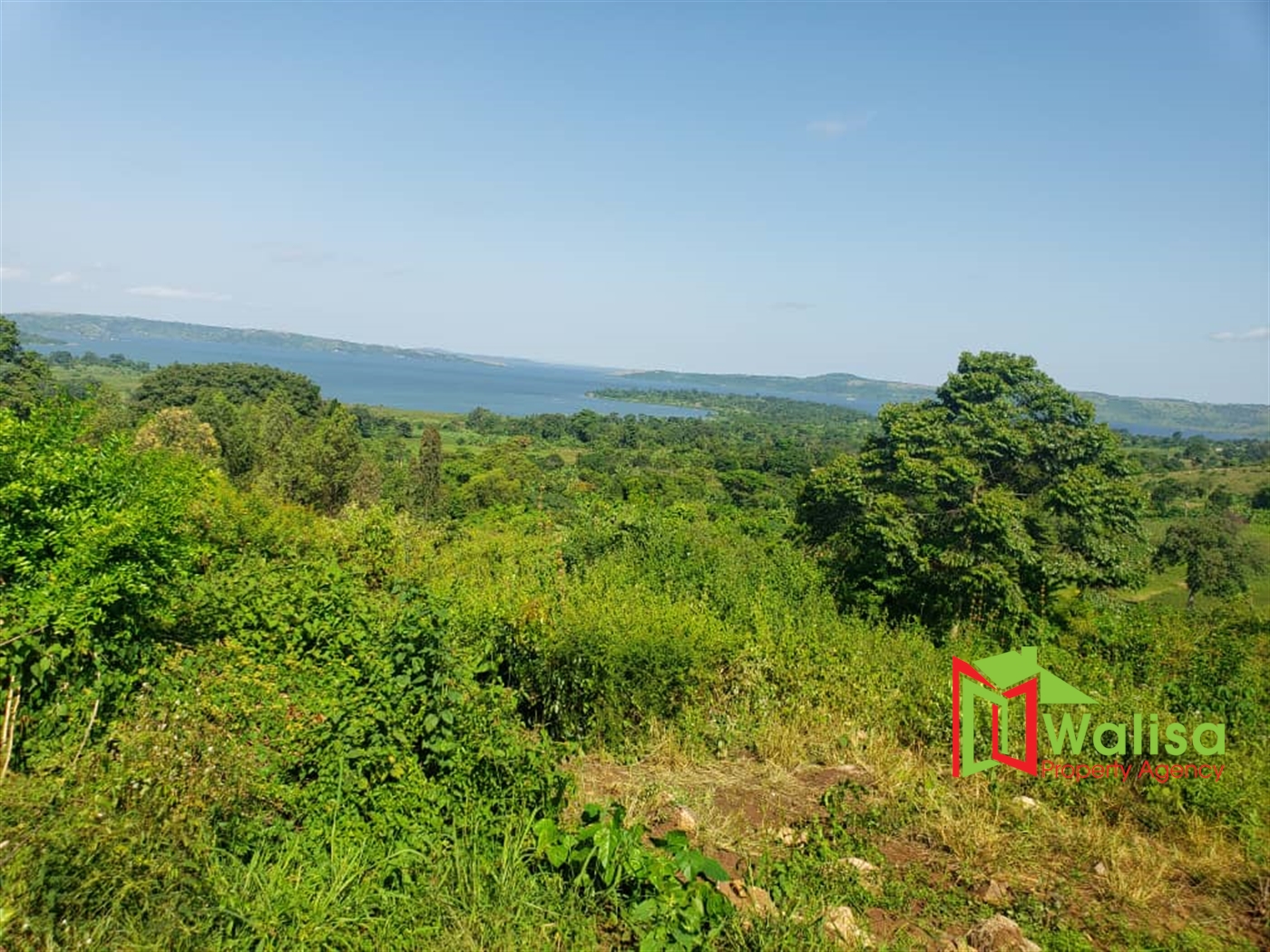 Residential Land for sale in Kyaggwe Buyikwe