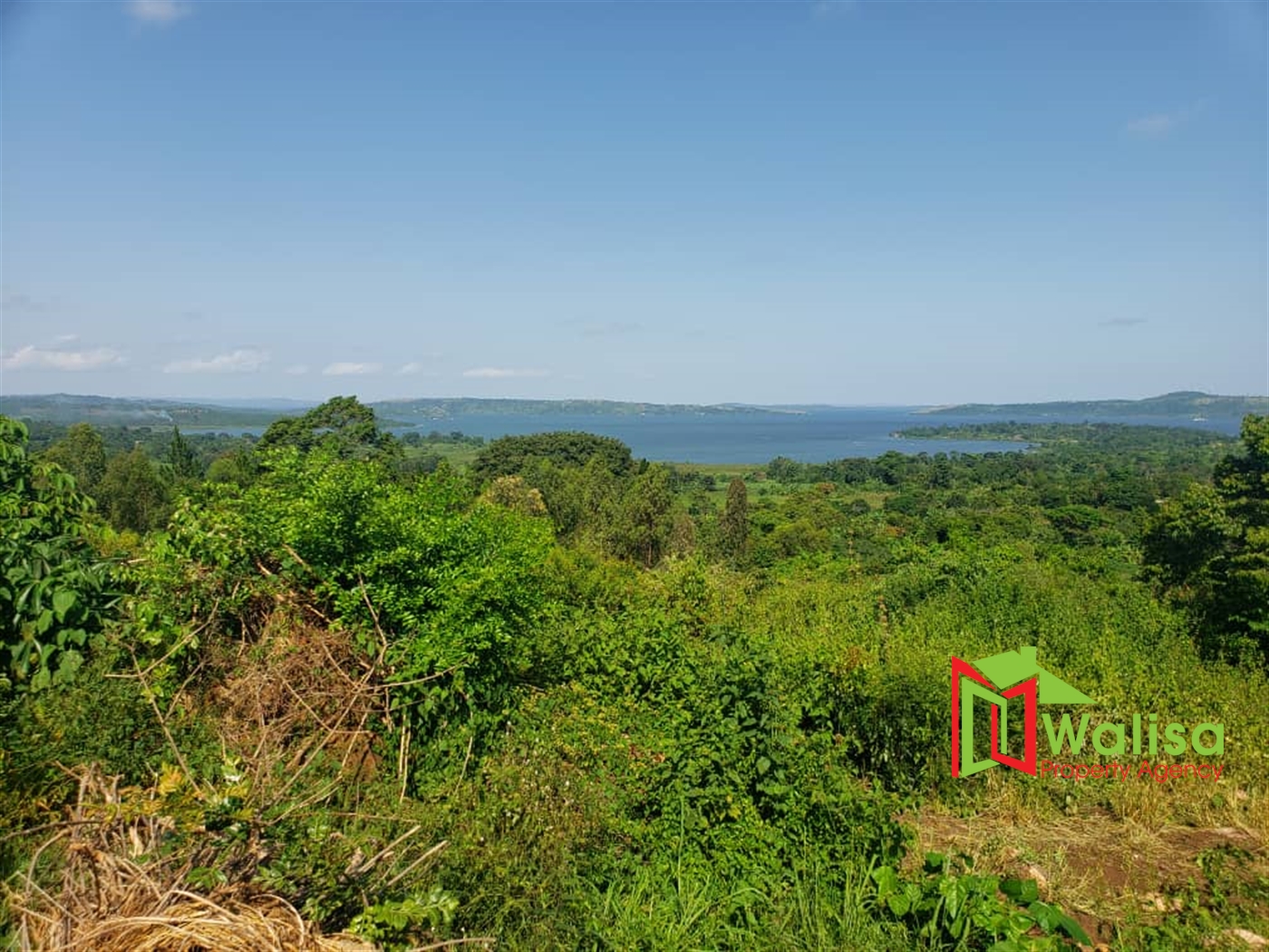 Residential Land for sale in Kyaggwe Buyikwe