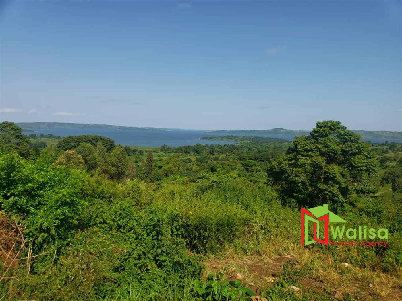 Residential Land for sale in Kyaggwe Buyikwe