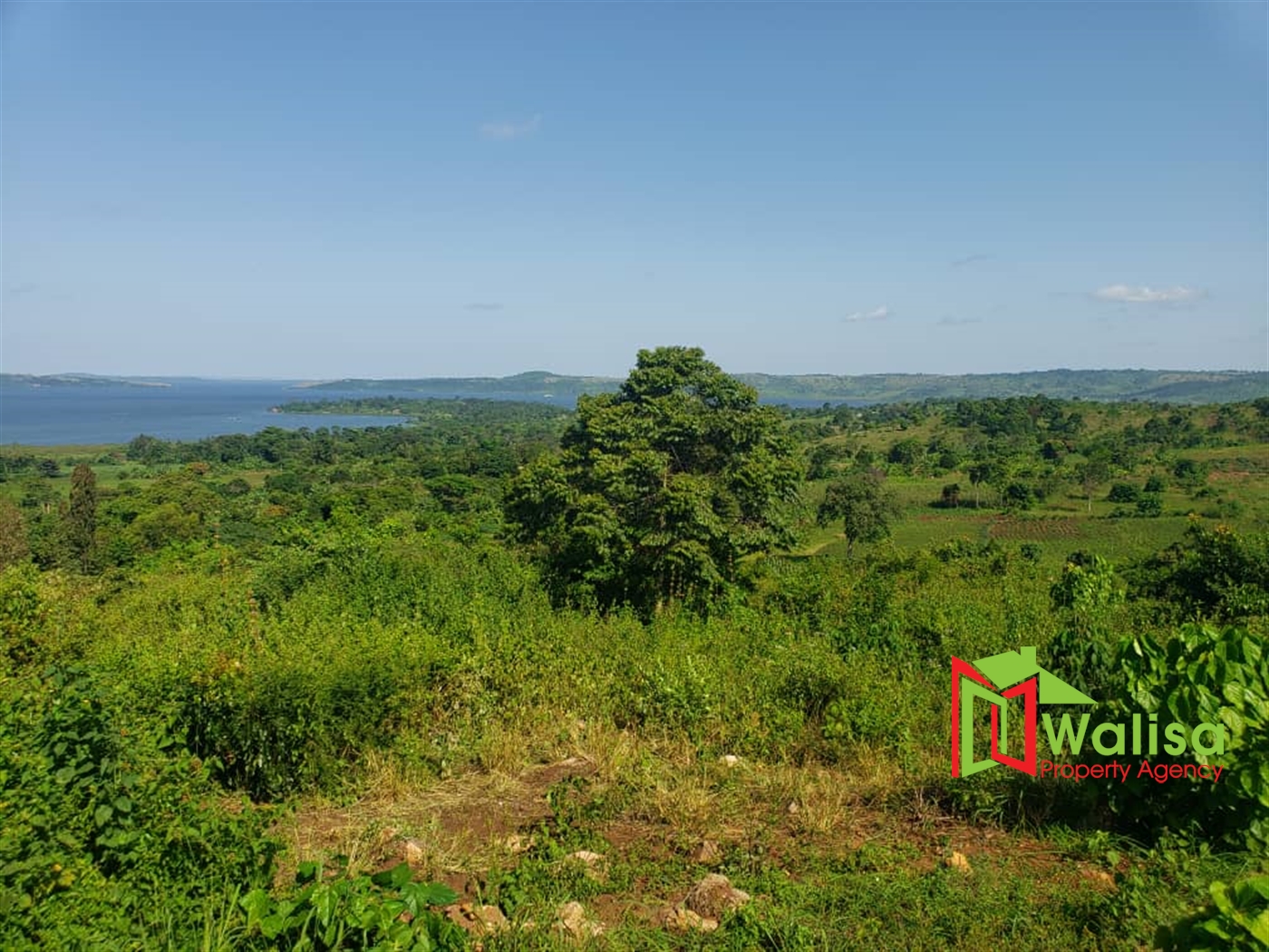 Residential Land for sale in Kyaggwe Buyikwe