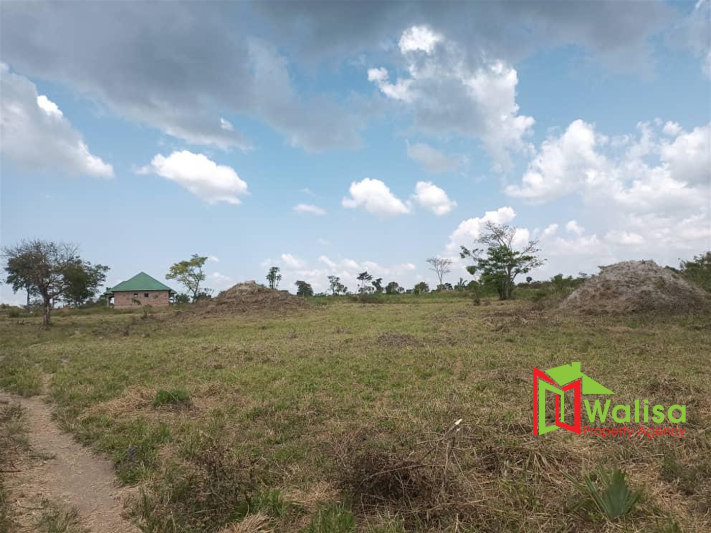 Agricultural Land for sale in Bbaale Nakaseke