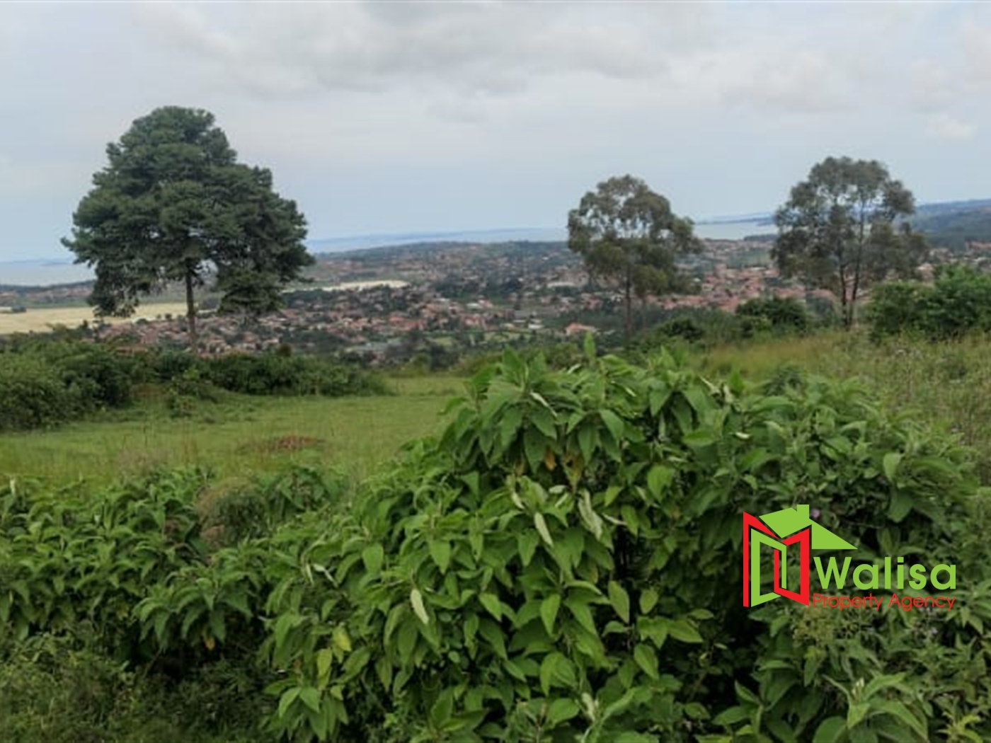 Commercial Land for sale in Bwebajja Wakiso