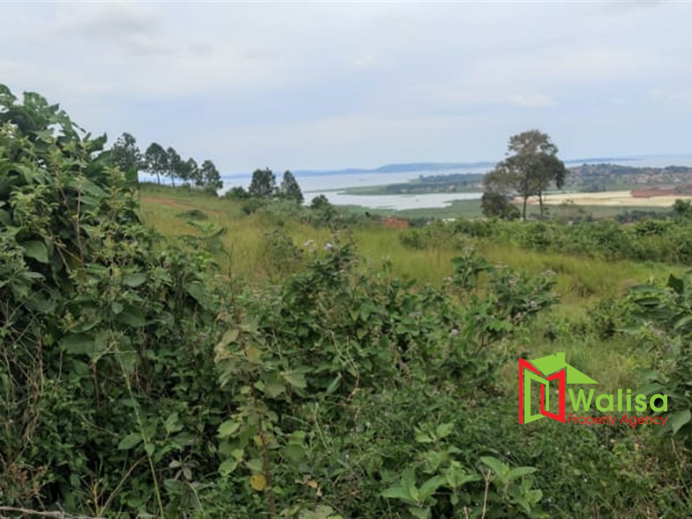 Commercial Land for sale in Bwebajja Wakiso