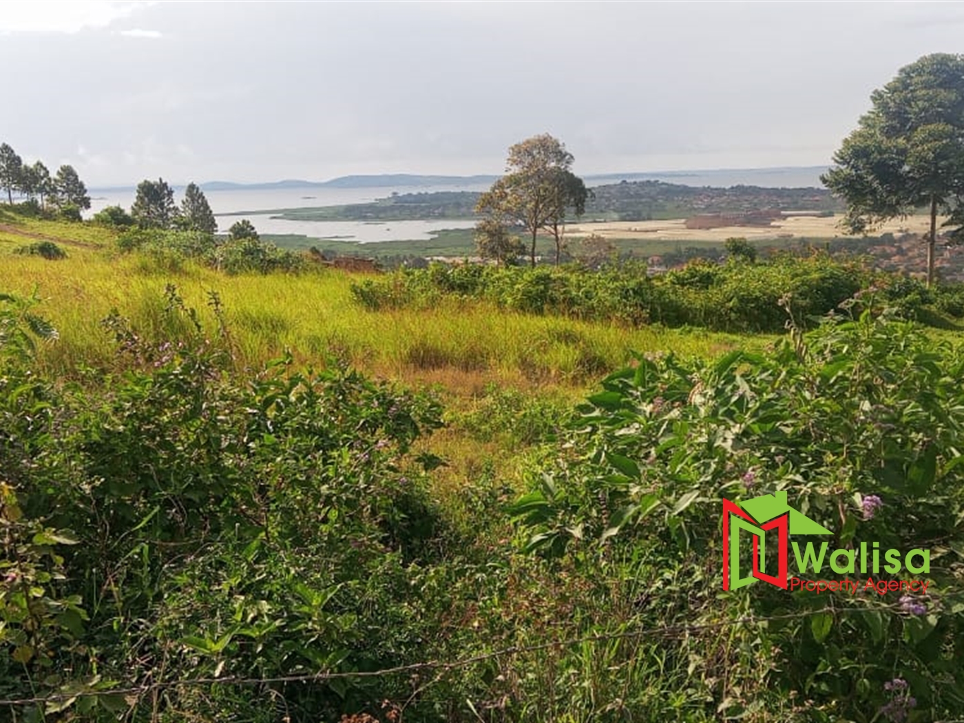 Commercial Land for sale in Bwebajja Wakiso