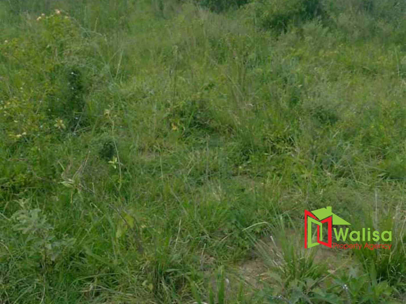 Agricultural Land for sale in Mijera Nakasongola