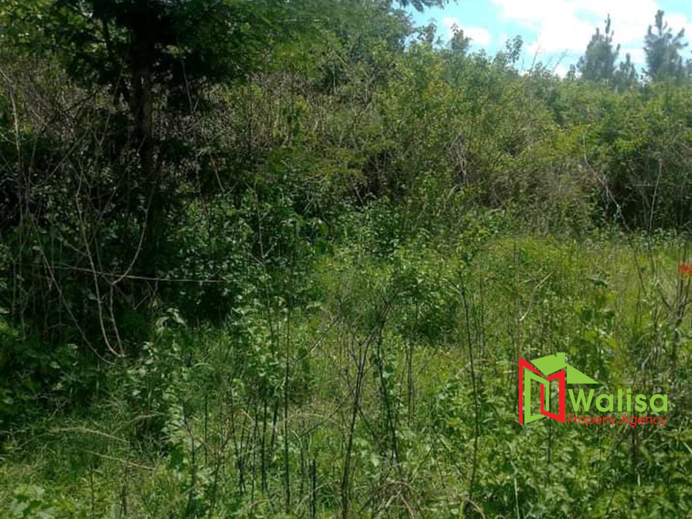Agricultural Land for sale in Mijera Nakasongola