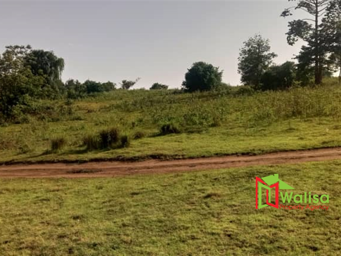 Commercial Land for sale in Kasenge Wakiso