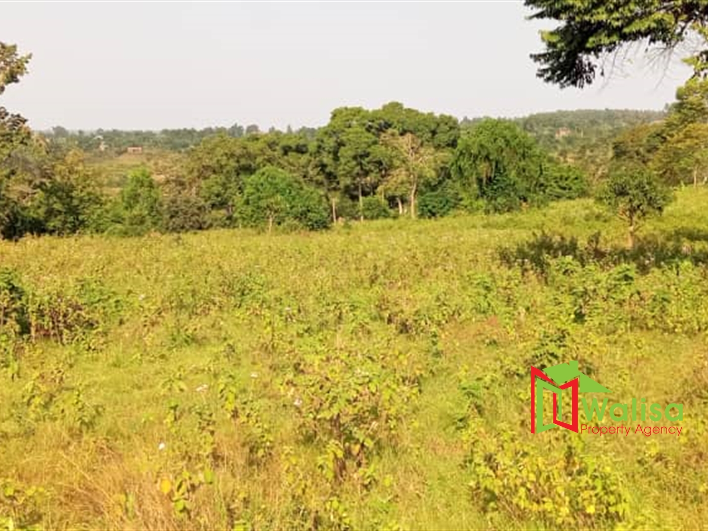 Commercial Land for sale in Kasenge Wakiso