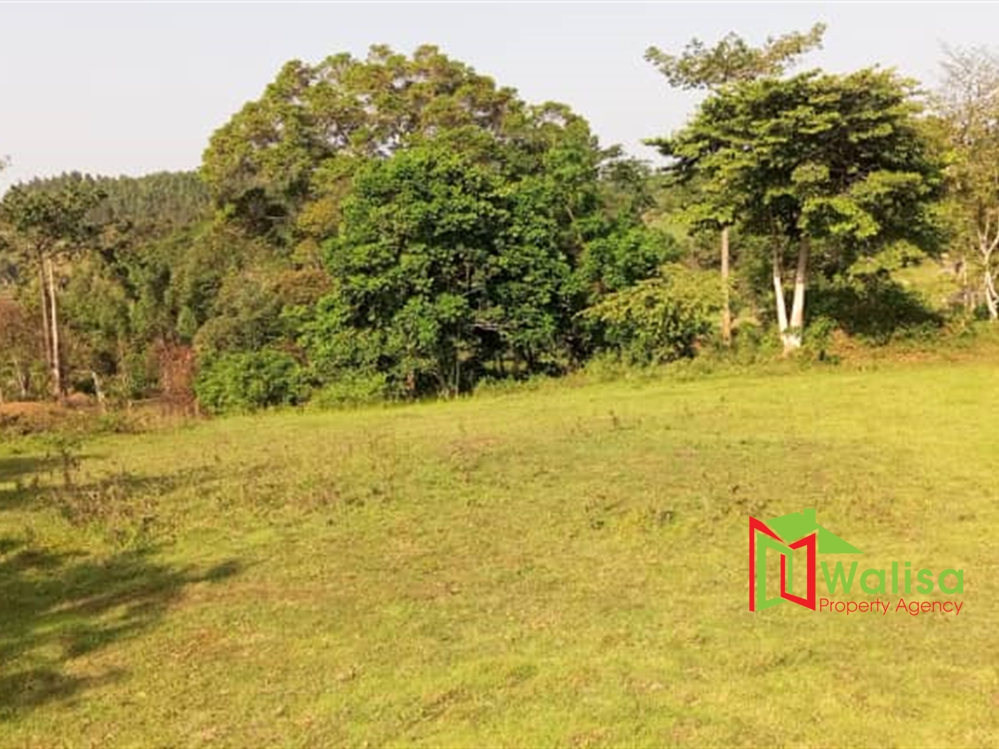 Commercial Land for sale in Kasenge Wakiso