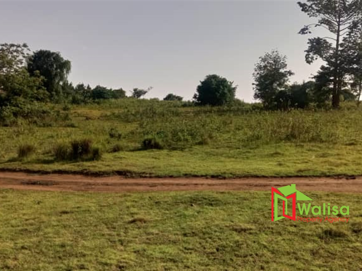 Commercial Land for sale in Kasenge Wakiso