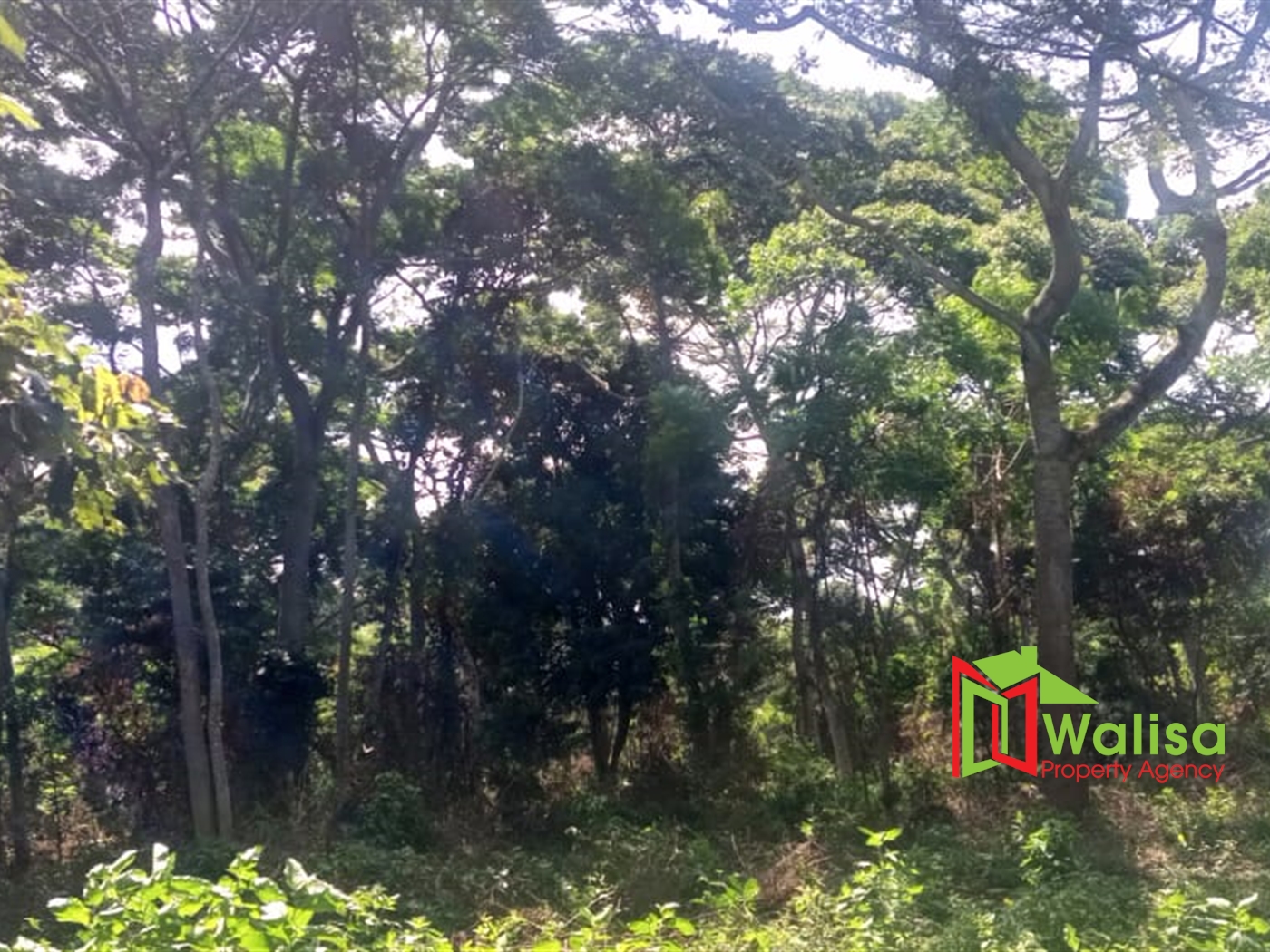 Commercial Land for sale in Kawuku Wakiso