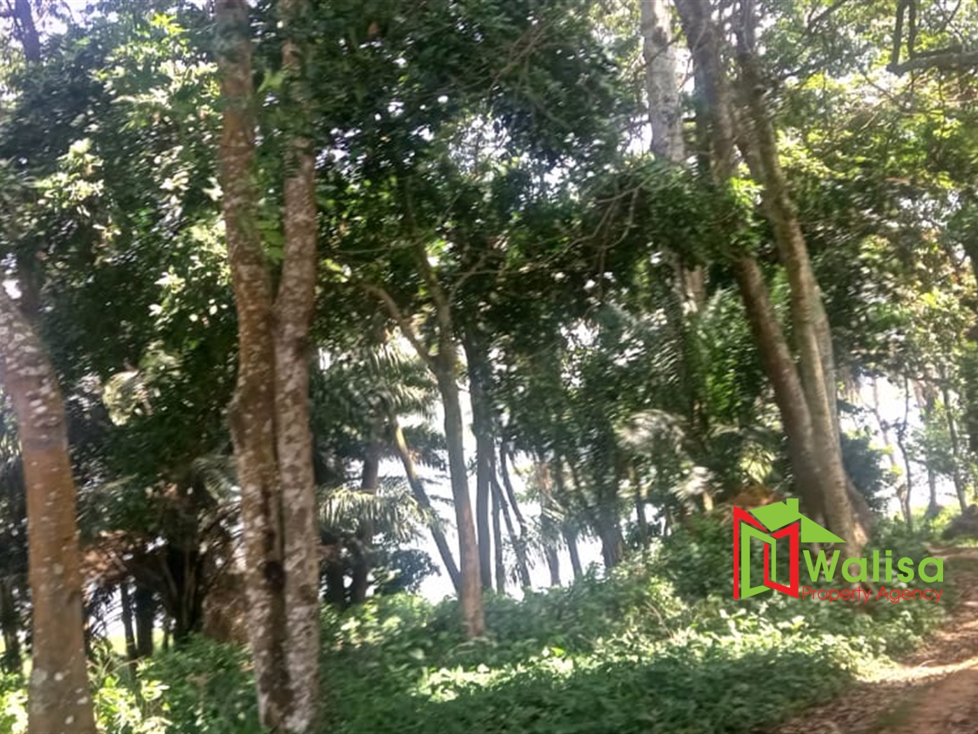 Commercial Land for sale in Kawuku Wakiso