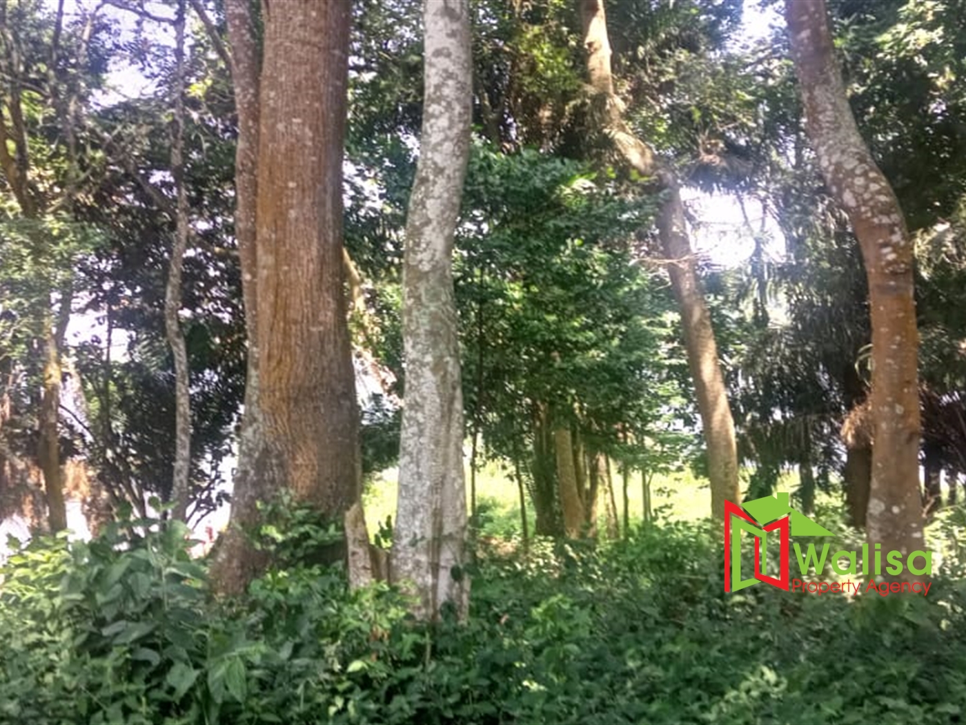 Commercial Land for sale in Kawuku Wakiso