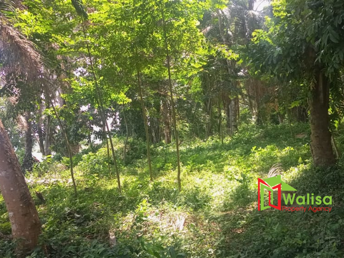 Commercial Land for sale in Kawuku Wakiso