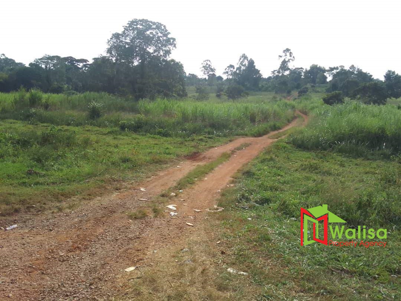 Commercial Land for sale in Buwama Mpigi