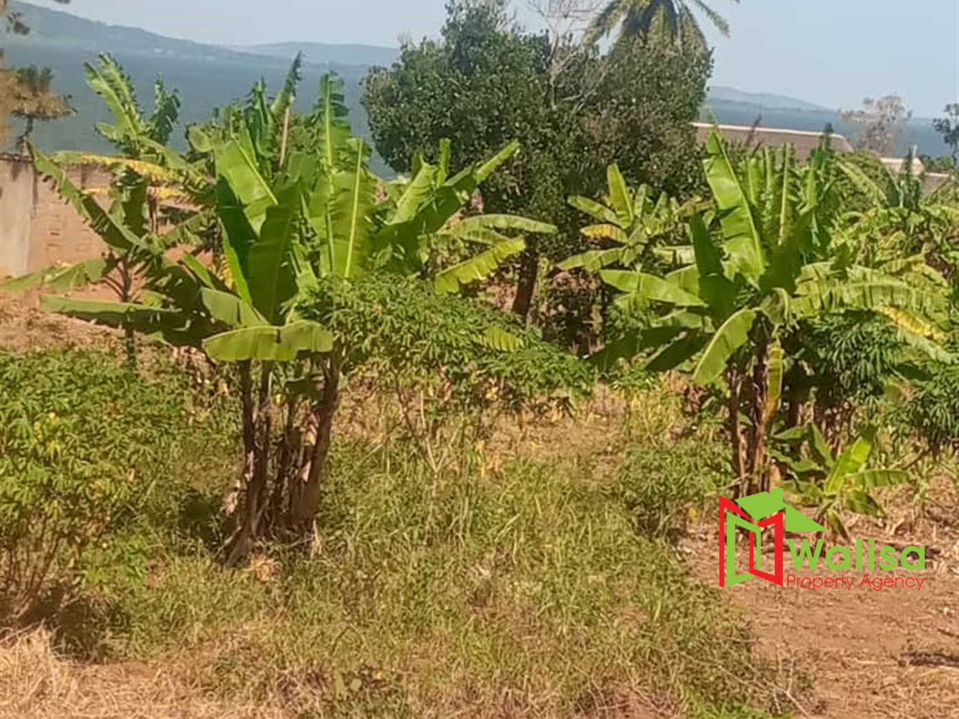 Commercial Land for sale in Munyonyo Kampala