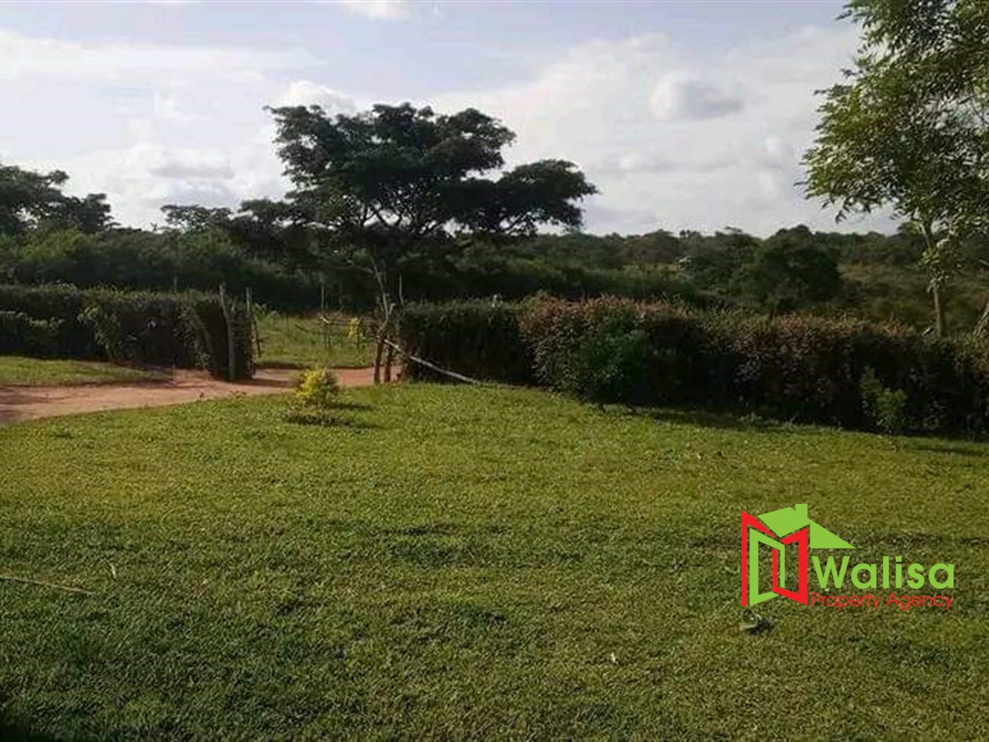 Agricultural Land for sale in Ssembabule Sembabule