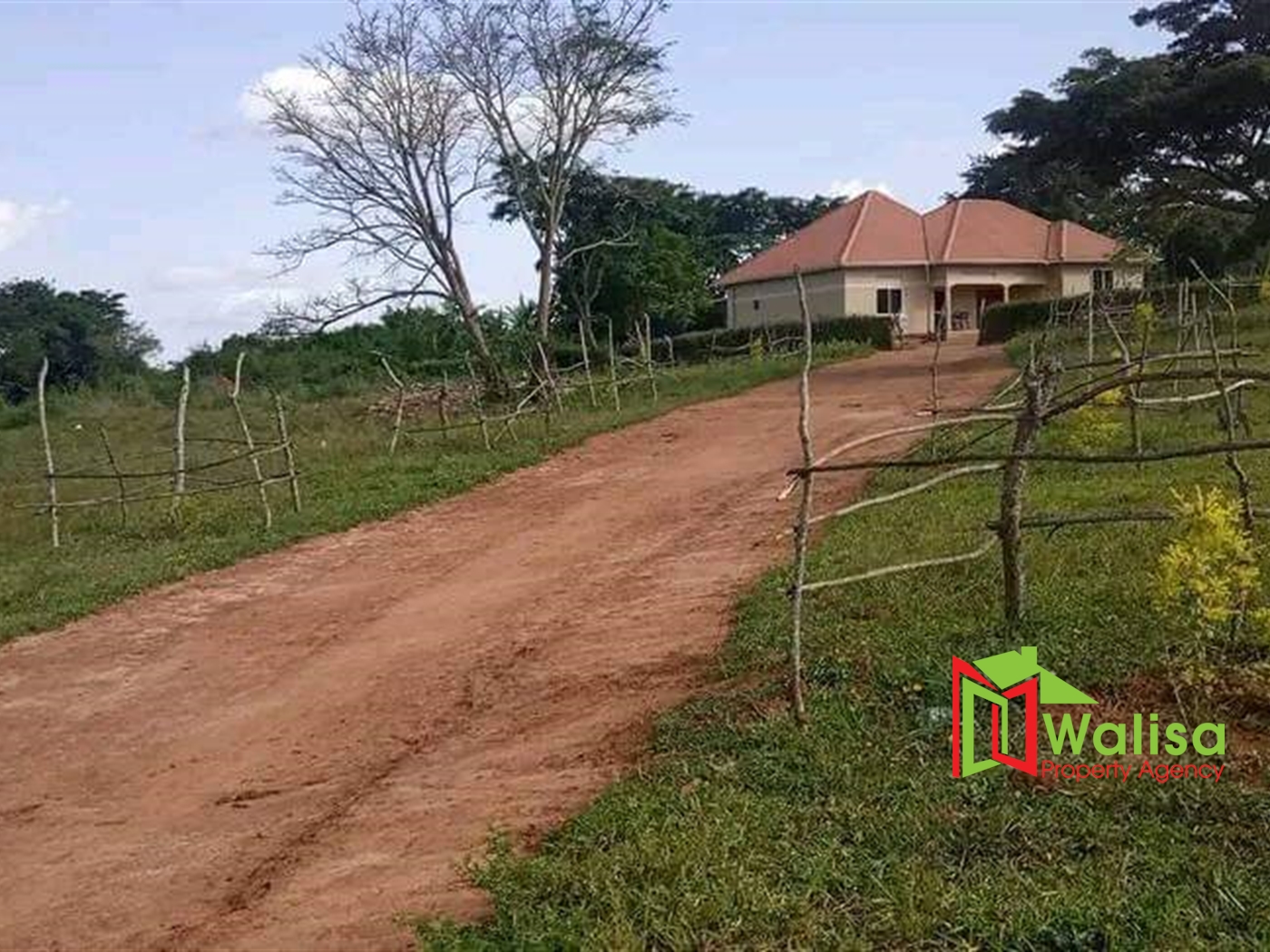 Agricultural Land for sale in Ssembabule Sembabule