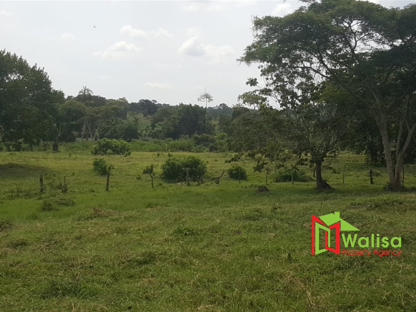 Farm for sale in Ssemuto Nakaseke