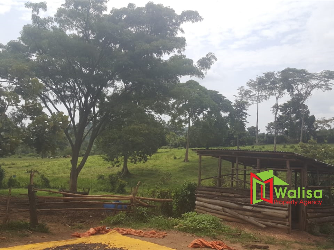 Farm for sale in Ssemuto Nakaseke