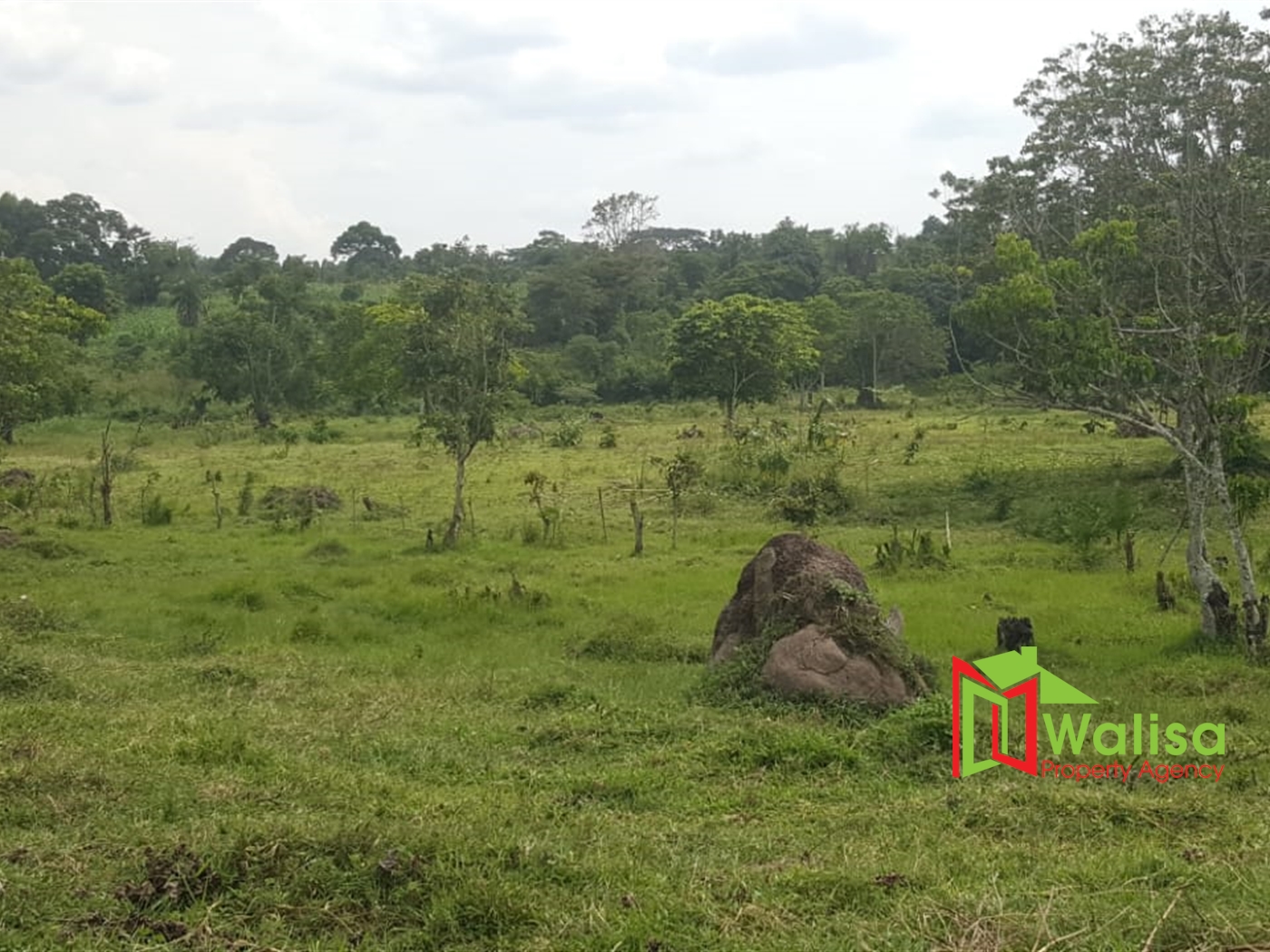 Farm for sale in Ssemuto Nakaseke