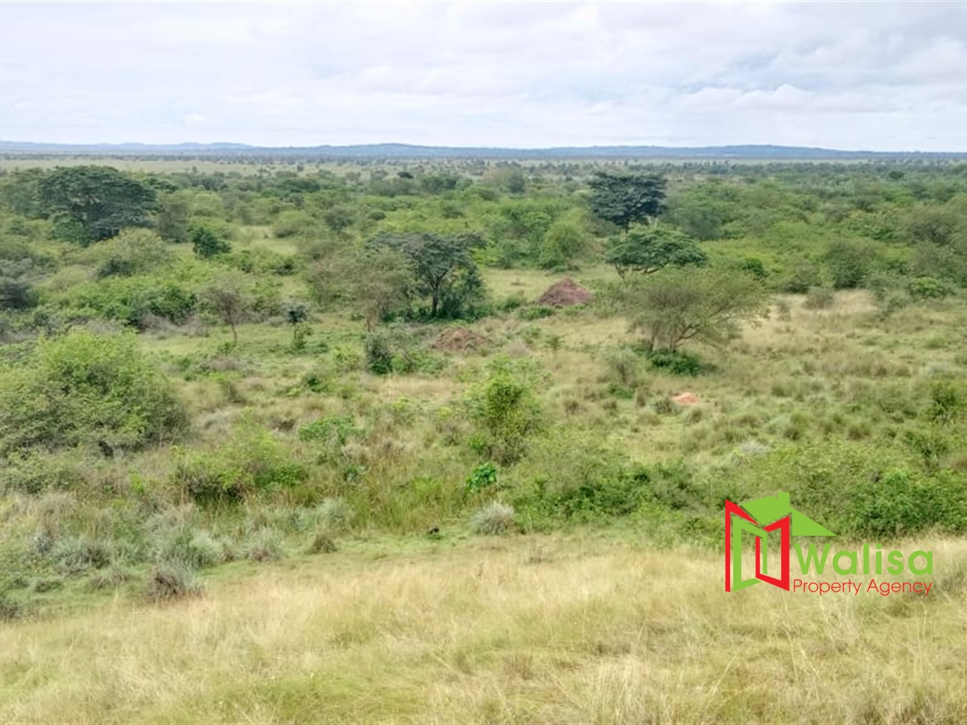 Farm for sale in Karungu Masaka