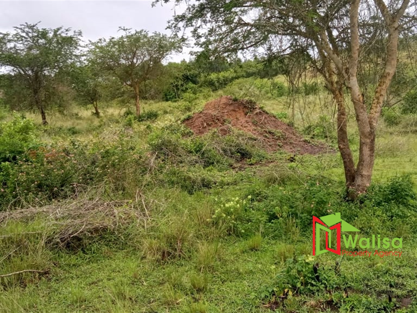 Farm for sale in Karungu Masaka