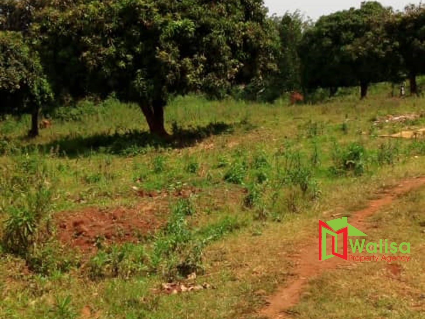 Agricultural Land for sale in Pabo Amuru